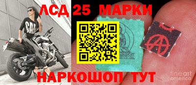 шишки Краснодар