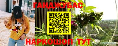 гидра Краснокаменск