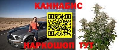 гидра Краснокаменск