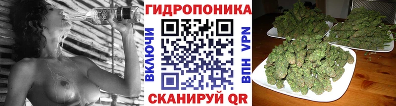 Канабис SATIVA & INDICA Знаменск