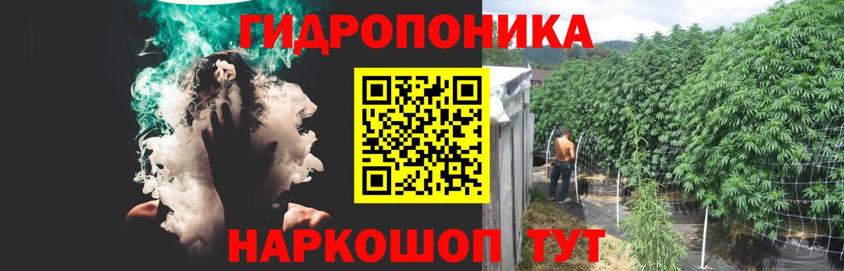Конопля MAZAR Знаменск